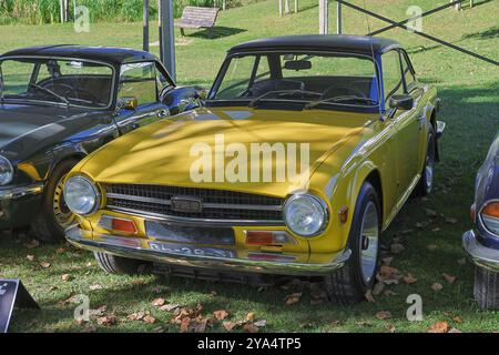 Jaune Triumph tr6 garé sur l'herbe par une journée ensoleillée Banque D'Images