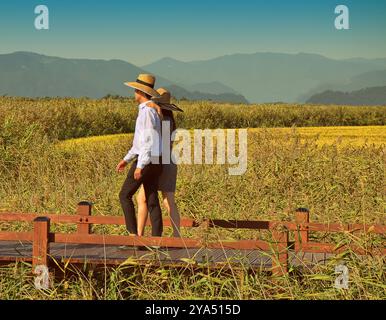 Couple marchant dans un champ de roseaux dans la baie de Suncheon, Jeollanamdo, Corée du Sud Banque D'Images