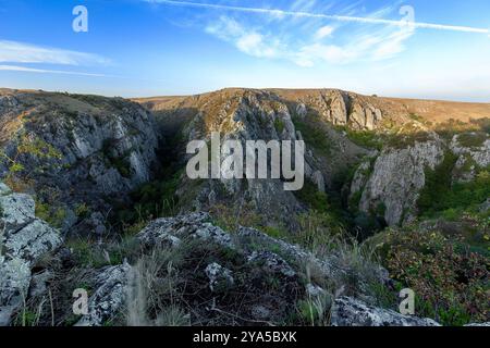 Une vue fantastique sur les Gorges de Tureni, avec des falaises abruptes, une végétation luxuriante et des chemins sinueux Banque D'Images