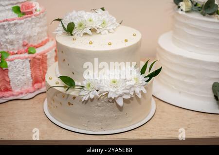 Elégant gâteau à deux niveaux orné de touches florales fraîches. Banque D'Images