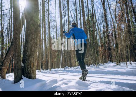 Skieur de fond en veste bleue glissant dans la forêt enneigée, sports d'hiver dans les bois ensoleillés, aventure active en plein air Banque D'Images