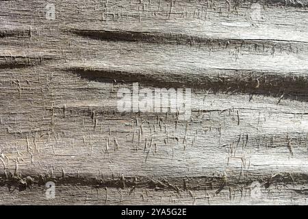 La texture d'une vieille surface en bois altérée. Banque D'Images