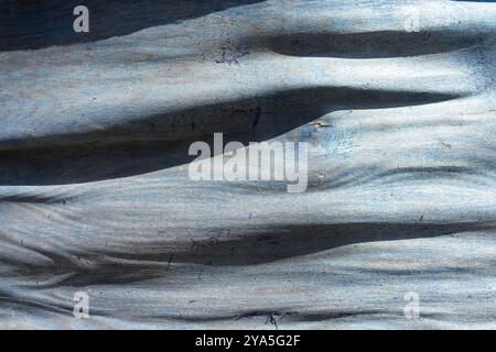 Texture de la vieille surface en bois altérée. Banque D'Images