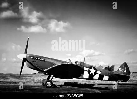 Le Supermarine Spitfire Mark XI piloté par un escadron de l'USAAF était une version de reconnaissance photographique similaire au Mk X, mais sans pressurisation de la cabine, diverses installations de caméras ont été installées, mais aucun armement. 471 Mark XI Spitfires ont été produits. Le chasseur monoplace britannique a été utilisé par la Royal Air Force et d'autres pays alliés avant, pendant et après la première Guerre mondiale. Il a été le seul chasseur britannique produit en continu tout au long de la guerre, bien que dans de nombreuses marques (versions). Banque D'Images