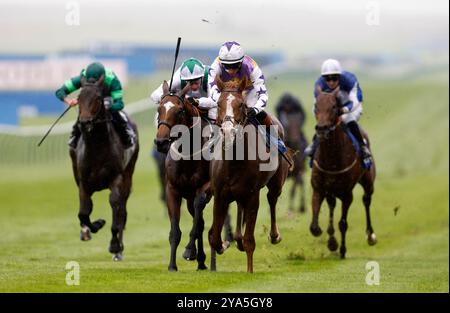 Starzintheireyes monté par Rossa Ryan (au centre) rentrant à la maison pour gagner les Palace Pier Zetland Stakes lors de Dubai future Champions Day à Newmarket Racecourse. Date de la photo : samedi 12 octobre 2024. Banque D'Images