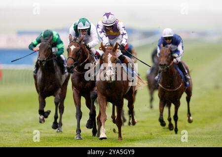 Starzintheireyes monté par Rossa Ryan (au centre) rentrant à la maison pour gagner les Palace Pier Zetland Stakes lors de Dubai future Champions Day à Newmarket Racecourse. Date de la photo : samedi 12 octobre 2024. Banque D'Images