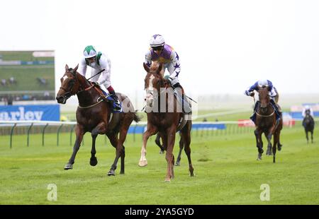 Starzintheireyes monté par Rossa Ryan (au centre) rentrant à la maison pour gagner les Palace Pier Zetland Stakes lors de Dubai future Champions Day à Newmarket Racecourse. Date de la photo : samedi 12 octobre 2024. Banque D'Images