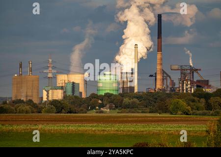 Hüttenwerke Krupp-Mannesmann, HKM in Duisburg-Hüttenheim, 2 Hochöfen, Kokerei, Löschwolke, Rheinauen in Duisburg-Mündelheim, NRW, Deutschland, links das Gaskraftwerk, Kühltürme, HKM Stahlwerk *** Hüttenwerke Krupp Mannesmann, HKM à Duisburg Hüttenheim, 2 hauts fourneaux, cokerie, nuage extincteur, Rheinauen à Duisburg Mündelheim, NRW, Allemagne, à gauche la centrale à gaz, les tours de refroidissement, les aciéries HKM Banque D'Images