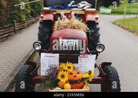 Oberried, Allemagne. 12 octobre 2024. Un tracteur Fahr décoré de façon festive avec deux chèvres miniatures sur le capot se tient en préparation d'un défilé de tracteurs dans le cadre d'une campagne de bétail à Oberried. Selon l’association touristique locale, environ 140 bovins décorés de fleurs et de branches devraient être chassés de leurs pâturages vers le Dreisamtal, où ils passeront l’hiver. Crédit : Philipp von Ditfurth//dpa/Alamy Live News Banque D'Images