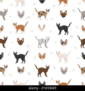 Motif sans couture de chat allemand Rex. Infographie des caractéristiques de toutes les races de chats. Illustration vectorielle Illustration de Vecteur