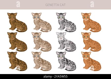 Genetta Cat clipart. Infographie des caractéristiques de toutes les races de chats. Illustration vectorielle Illustration de Vecteur