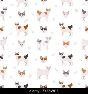 Motif sans couture de chat Bobtail japonais. Infographie des caractéristiques de toutes les races de chats. Illustration vectorielle Illustration de Vecteur