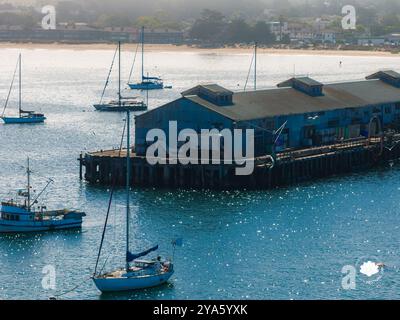 Vue aérienne du front de mer de Monterey avec jetée et bateaux Banque D'Images