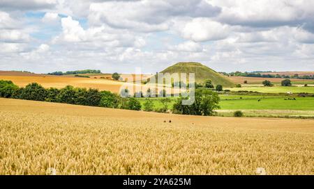 Silbury Hill néolithique près de Avebury dans le Wiltshire UK entouré de champs de blé doré en plein été Banque D'Images