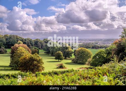 Le Fallow Deer Park à Ashton court à la périphérie de Bristol UK au début de l'automne Banque D'Images