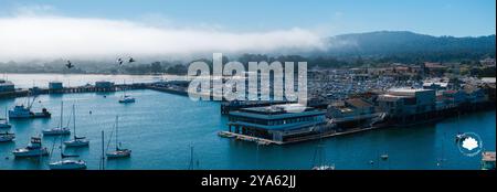 Vue aérienne de Monterey Marina avec voiliers et Foggy Hills Banque D'Images