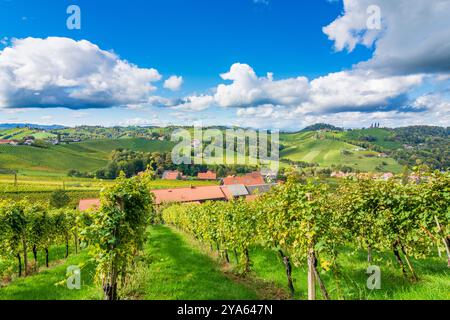 Ehrenhausen an der Weinstraße : vignobles, collines Windische Bühel, village Ratsch an der Weinstraße à Süd-Steiermark, Steiermark, Styrie, Autriche Banque D'Images