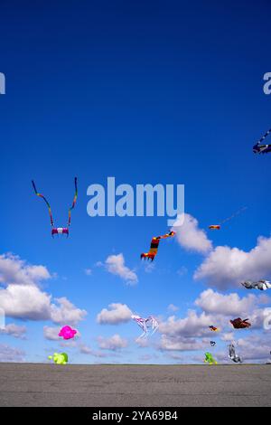 Norddeich, Frise orientale, Allemagne. Prairie de cerfs-volants à Norddeich sur un après-midi d'automne ensoleillé avec des cerfs-volants volants. 3 octobre 2024 Banque D'Images