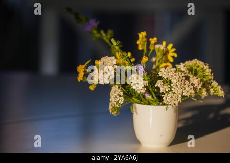 Fleurs de prairie sur une table dans la lumière ensoleillée du matin Banque D'Images