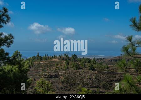 La vue sur les forêts de pins autour de 'Las Vegas' dans le sud de l'île Canaries de Tenerife Banque D'Images