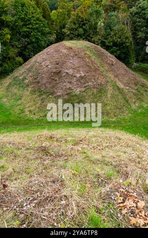 Tumulus romains Bartlow Cambridgeshire Banque D'Images