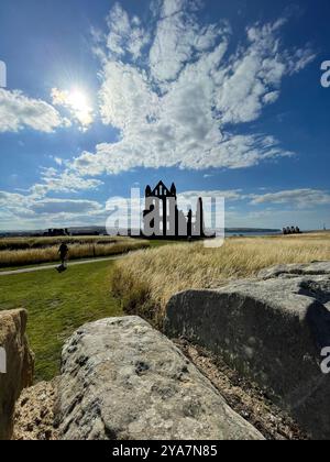 « Silhouettées contre un ciel dramatique, les ruines antiques se dressent fièrement au milieu des champs balayés par le vent. » Banque D'Images