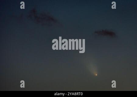 Londres, Royaume-Uni. 12 octobre 2024. Météo britannique : la comète A3, également connue sous le nom de Tsuchinshan-ATLAS, devient visible au-dessus des gratte-ciel de Londres juste après le coucher du soleil dans l'hémisphère nord car elle arrive à moins de 44 millions de miles de la Terre. Connue sous le nom de « comète du siècle », la comète A3 visite le système solaire interne tous les 80 000 ans et aurait duré quand les Néandetaliens étaient vivants. La comète a été découverte en janvier 2023 par deux observatoires - l'observatoire chinois de Tsuchinshan et l'OBSERVATOIRE sud-africain de L'ATLAS. Il a été nommé d'après eux tous les deux. Crédit : Guy Corbishley/Alamy Live News Banque D'Images