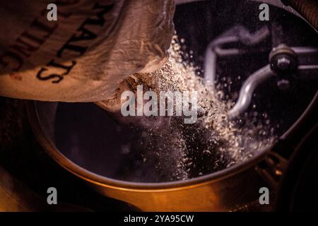 Fabrication de belles bières L'art d'ajouter habilement de l'orge maltée dans le processus de brassage Banque D'Images