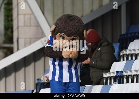 La mascotte de Hartlepool United H'Angus lors du match de la quatrième ronde de qualification de la FA Cup entre Hartlepool United et Brackley Town au Victoria Park, Hartlepool le samedi 12 octobre 2024. (Photo : Mark Fletcher | mi News) crédit : MI News & Sport /Alamy Live News Banque D'Images