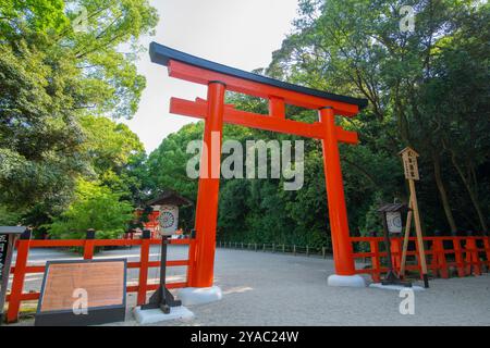 Deuxième Torii de Shimogamo Jinja. Ce sanctuaire alias Kamo-mioya Shrine est un sanctuaire shinto dans la ville historique de Kyoto, au Japon. Ce sanctuaire appartient à histori Banque D'Images