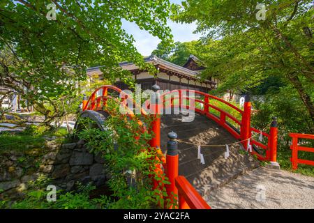 Pont de Shimogamo Jinja. Ce sanctuaire alias Kamo-mioya Shrine est un sanctuaire shinto dans la ville historique de Kyoto, au Japon. Ce sanctuaire appartient à Monu historique Banque D'Images