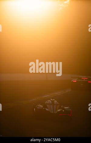 40 TAYLOR Jordan (usa), DELETRAZ Louis (che), HERTA Colton (usa), BUTTON Jenson (gbr), Wayne Taylor Racing avec Andretti, Acura ARX-06, action lors du Motul petit le Mans 2024, 11ème manche du Championnat IMSA Sportscar 2024, du 10 au 12 octobre 2024 sur le Michelin Raceway Road Atlanta à Braselton, Géorgie, États-Unis d'Amérique - photo Joao Filipe/DPPI Live News/Aly Banque D'Images