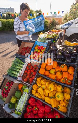 Angleterre, Kent, Tonbridge, le marché agricole, exposition de légumes colorés Banque D'Images