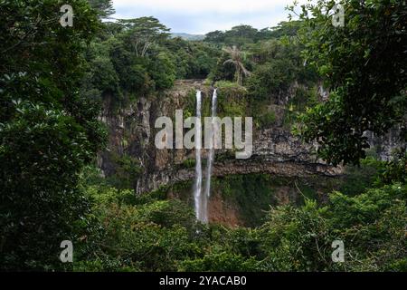 Chamarel Waterfalls Paysage dans la jungle tropicale de l'île Maurice Banque D'Images