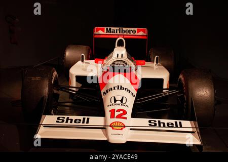 Ayrton Senna Forever Torino 2024 Banque D'Images