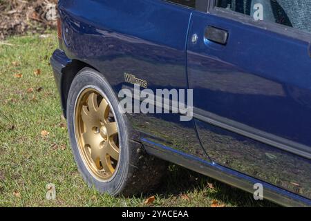 Gros plan d'une voiture de sport bleue garée sur l'herbe, montrant le logo williams Racing sur le côté Banque D'Images