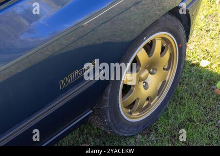 Gros plan d'une roue en alliage williams renault dorée debout sur l'herbe Banque D'Images