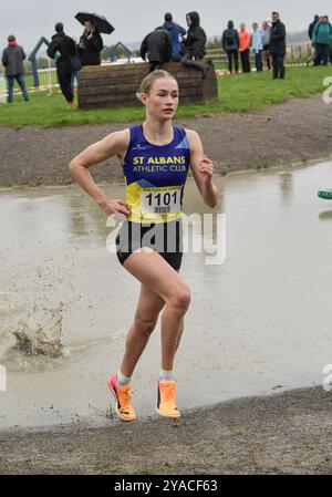 Phoebe Gill des Striders de St Albans en compétition dans la course féminine des moins de 20 ans à la Chiltern League Cross Country, Keysoe, Bedford Royaume-Uni le 12 octobre 2024. Photo de Gary Mitchell crédit : Gary Mitchell, GMP Media/Alamy Live News Banque D'Images