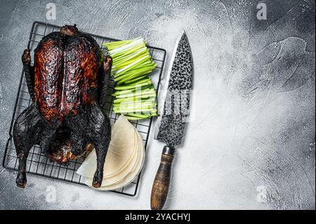 Canard laqué rôti entier aux herbes, sauce, crêpe de riz, concombre et oignon. Fond blanc. Vue de dessus. Copier l'espace Banque D'Images