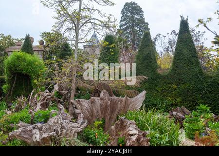 Partie du Stumpery dans les jardins du château d'Arundel, West Sussex, Angleterre, Royaume-Uni, avec un aperçu de la tour de l'église de tous Nicholas' au-delà Banque D'Images