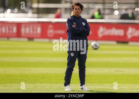 Rotterdam, pays-Bas. 13 octobre 2024. ROTTERDAM, PAYS-BAS - 13 OCTOBRE : coach Jessica Torny de Feyenoord lors du match Azerion Vrouwen Eredivisie entre Feyenoord et FC Utrecht au Sportcomplex Varkenoord le 13 octobre 2024 à Rotterdam, pays-Bas. (Photo de Hans van der Valk/Orange Pictures) crédit : Orange pics BV/Alamy Live News Banque D'Images