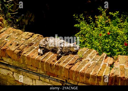 Le tracé médiéval parfaitement conservé du village de Gubbio, Ombrie, Italie Banque D'Images
