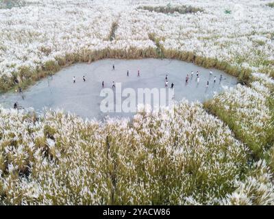 Dhaka, Dhaka, Bangladesh. 12 octobre 2024. 12 octobre 2024, Dhaka, Bangladesh : vue aérienne de garçons jouant au football sur un champ de sable permanent entouré de parterres de fleurs temporaires dans la capitale Dhaka, Bangladesh. (Crédit image : © Muhammad Amdad Hossain/ZUMA Press Wire) USAGE ÉDITORIAL SEULEMENT! Non destiné à UN USAGE commercial ! Banque D'Images