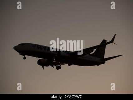 Ryanair Boeing 737-8AS à l'atterrissage à l'aube à l'aéroport de Birmingham, Royaume-Uni (EI-DWD) Banque D'Images