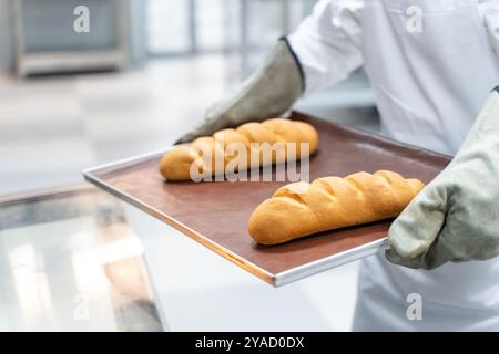 Un boulanger ganté tient un pain de pain fraîchement cuit dans ses mains. Photo de haute qualité Banque D'Images