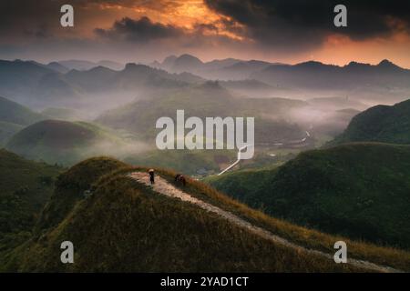 Vue aérienne du beau lever de soleil sur la colline d'herbe de Ba Guang, chaîne de montagnes et brouillard avec le villageois apportant leur cheval pour paître sur la montagne Banque D'Images