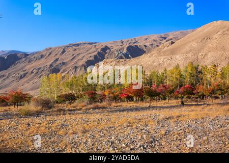 Paysage du village d'Ishkoshim. Ishkoshim ou Ishkashim est situé dans la région de Gorno-Badakhshan Pamir au Tadjikistan. Il se trouve sur la rivière Panj à la frontière Banque D'Images