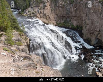 Parc national de Yellowstone, Wyoming : Gibbon Falls et la Gibbon River Banque D'Images