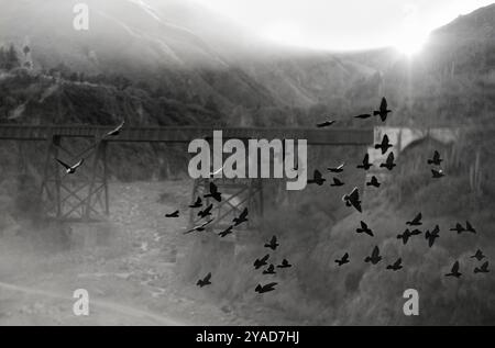 Toro gorge Bridge en Salta, Argentine. Pont du train vers les nuages à Salta, Argentine le matin brumeux avec des oiseaux volant au premier plan Banque D'Images