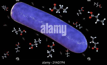 rendu 3d des molécules d'acide butyrique et des espèces bactériennes, c'est un métabolite précieux produit par les bactéries intestinales Banque D'Images